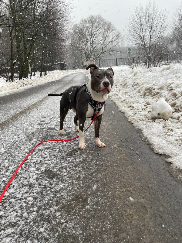 C4E8818B-0321-474D-B2F3-1E4D2BBB2480