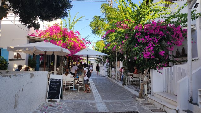 Día 8 - Antiparos: El Olympo - Islas Griegas vol.II: 11 días en Santorini, Milos, Paros y Naxos (7)