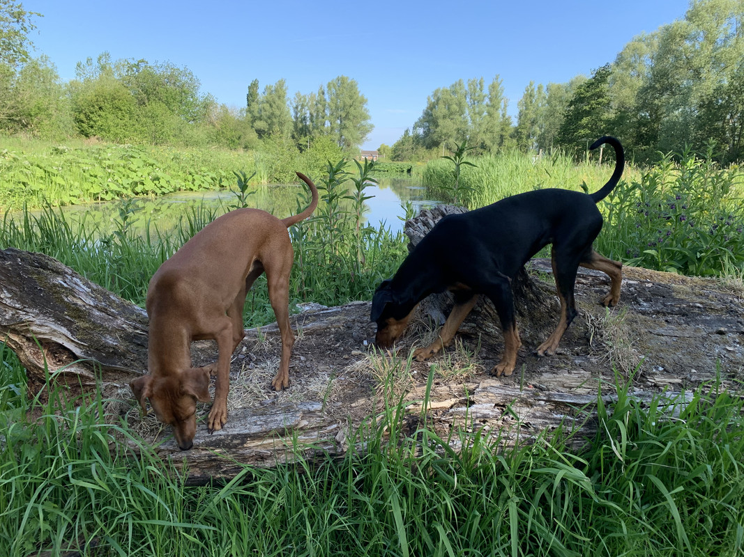 E000F997-2A32-4E69-AD68-E0827A755553