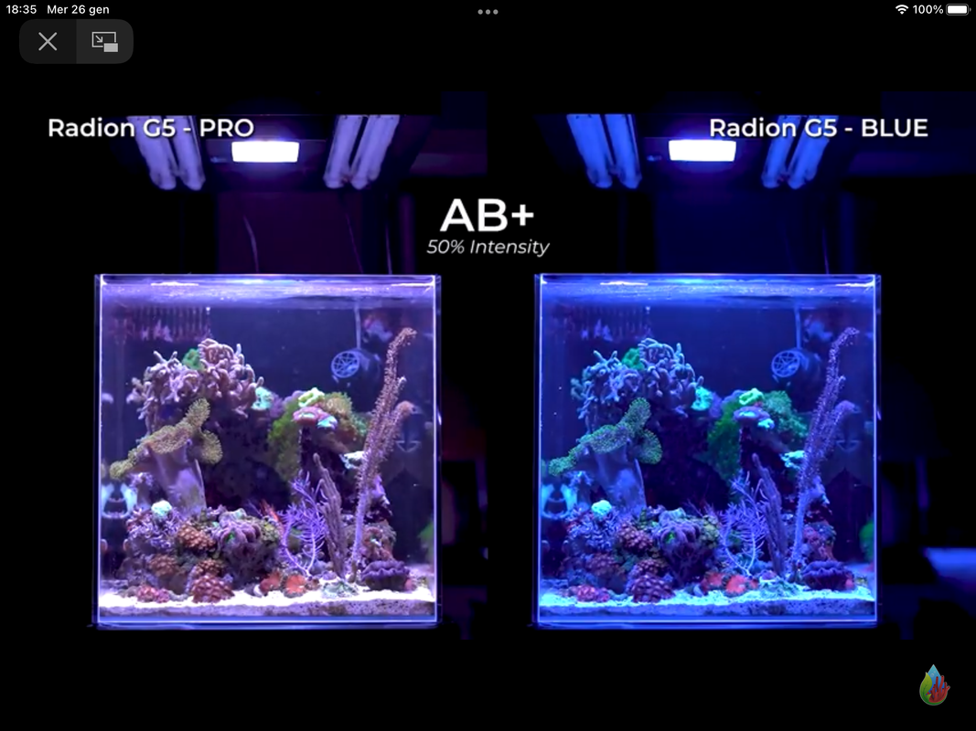 5E944893-CAEF-47CA-A2F1-81DD8F442F90