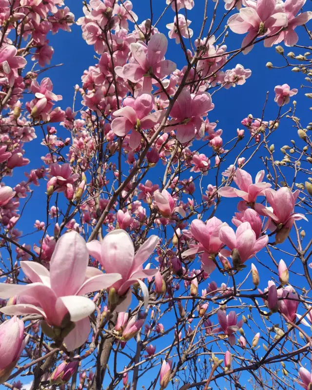 IMG_20240325_174113_866