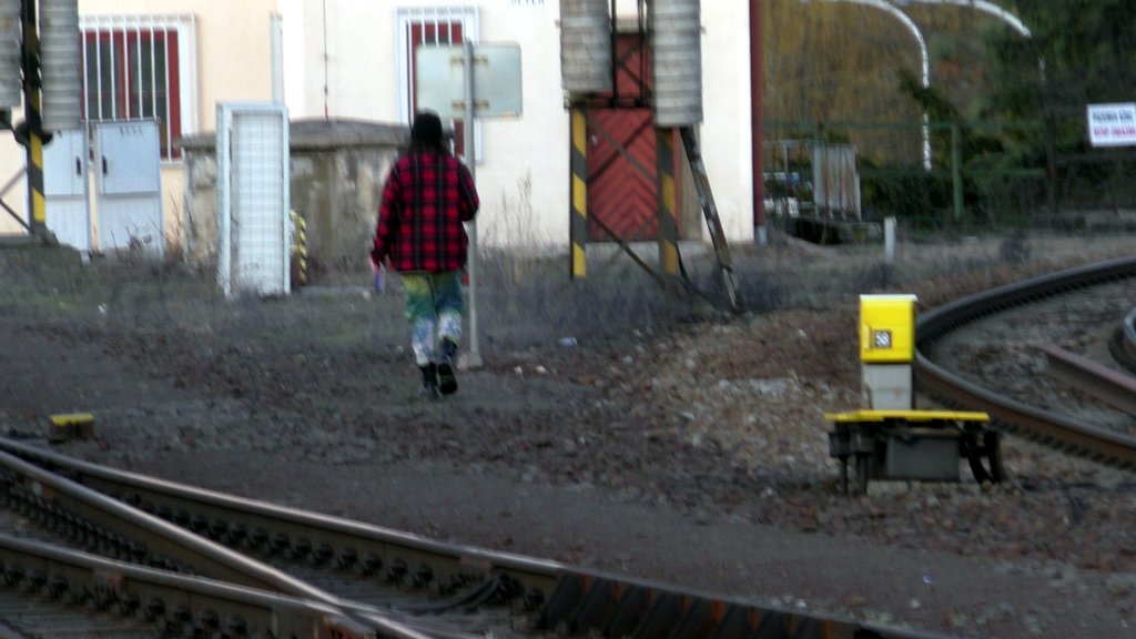 Gleis- und Brückenlatscher