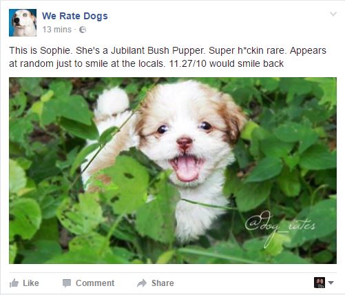 weratedogs-Imgur.jpg