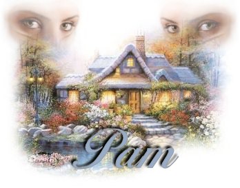 Pam-Kincaid-Like