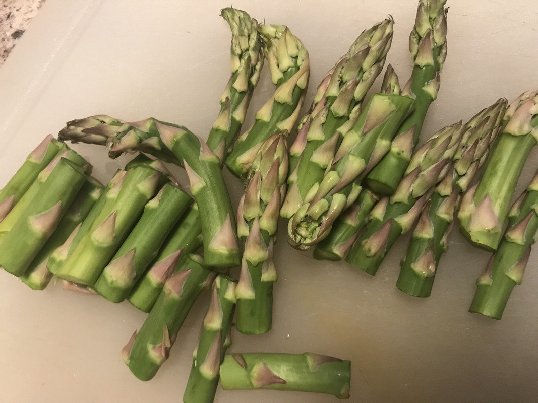 038ADA17-B3E9-4EAD-8917-CA534B45B4BA