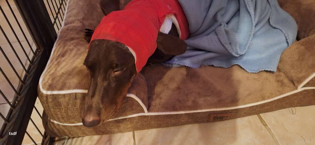 [Image: 20250820-220606.jpg]