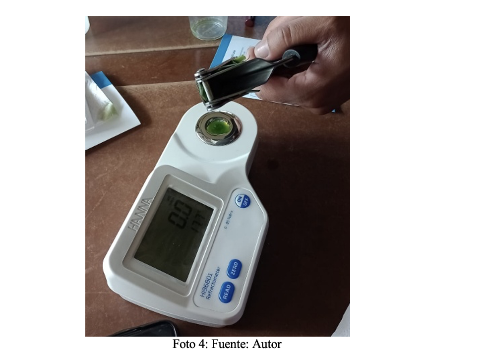 Medición de ° Brix en savia como herramienta de diagnóstico en cultivos altamente tecnificados.