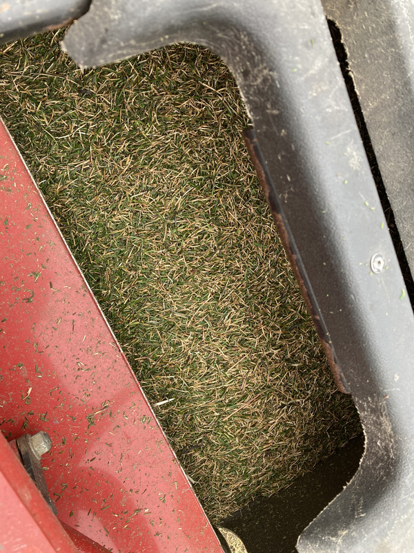 00C6D81E-187D-483D-906D-A11116CAE19B