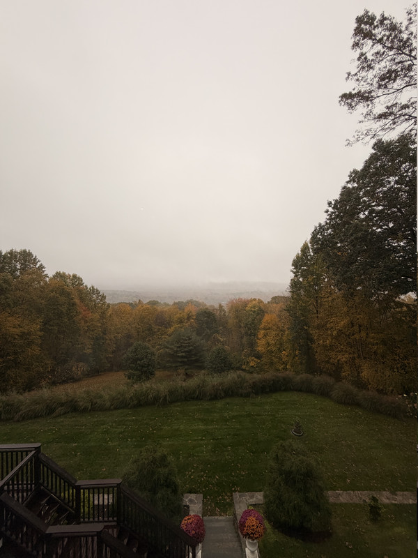 IMG-4234.jpg