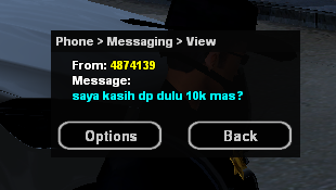 samp-26-09-2021-00-25-55.png