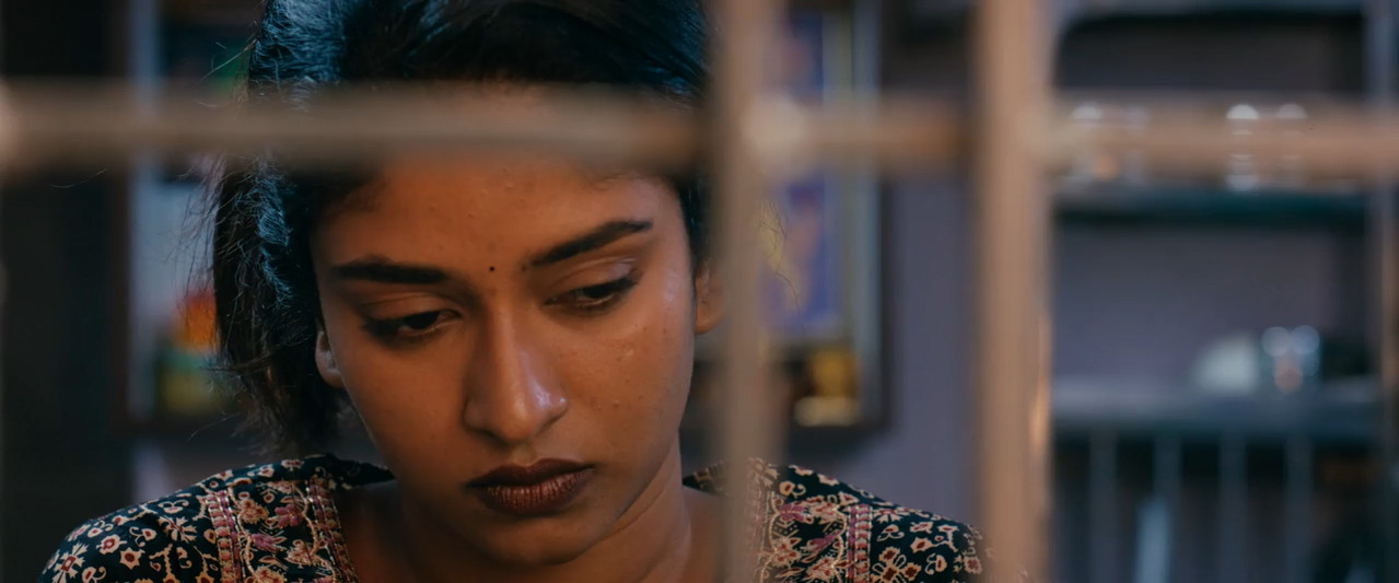 Ameer Log 2026 WebRip [Telugu] 480p 720p ESub Screenshot