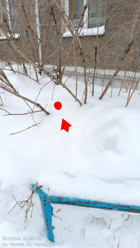 Screenshot 20260227 205810