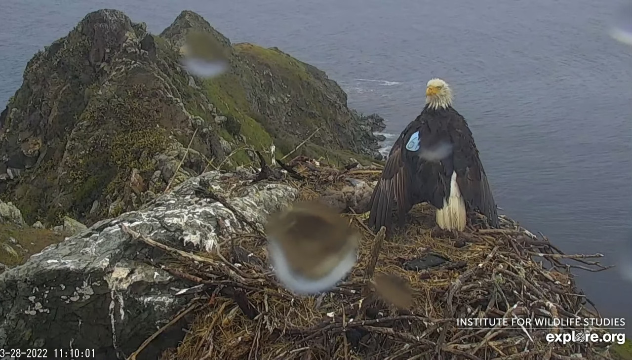 F5A5F878-8AA9-4112-BA97-98949B3376CC