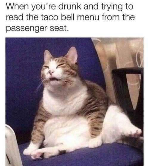 taco.jpg