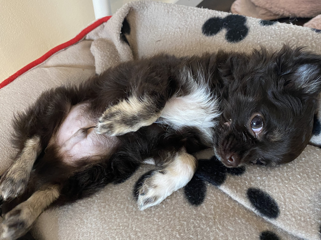 45E6ABDE-877B-4648-B5A4-2A02BF73ACD5