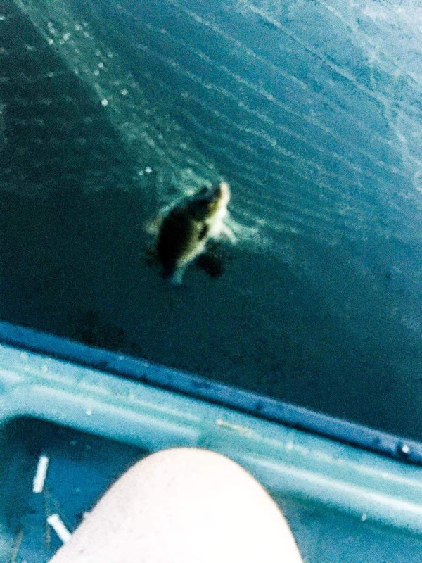 502F4B3A-C9D1-46B6-B931-7E72C97CF749