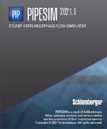 Schlumberger PIPESIM 2021.1.687 (Win x64)