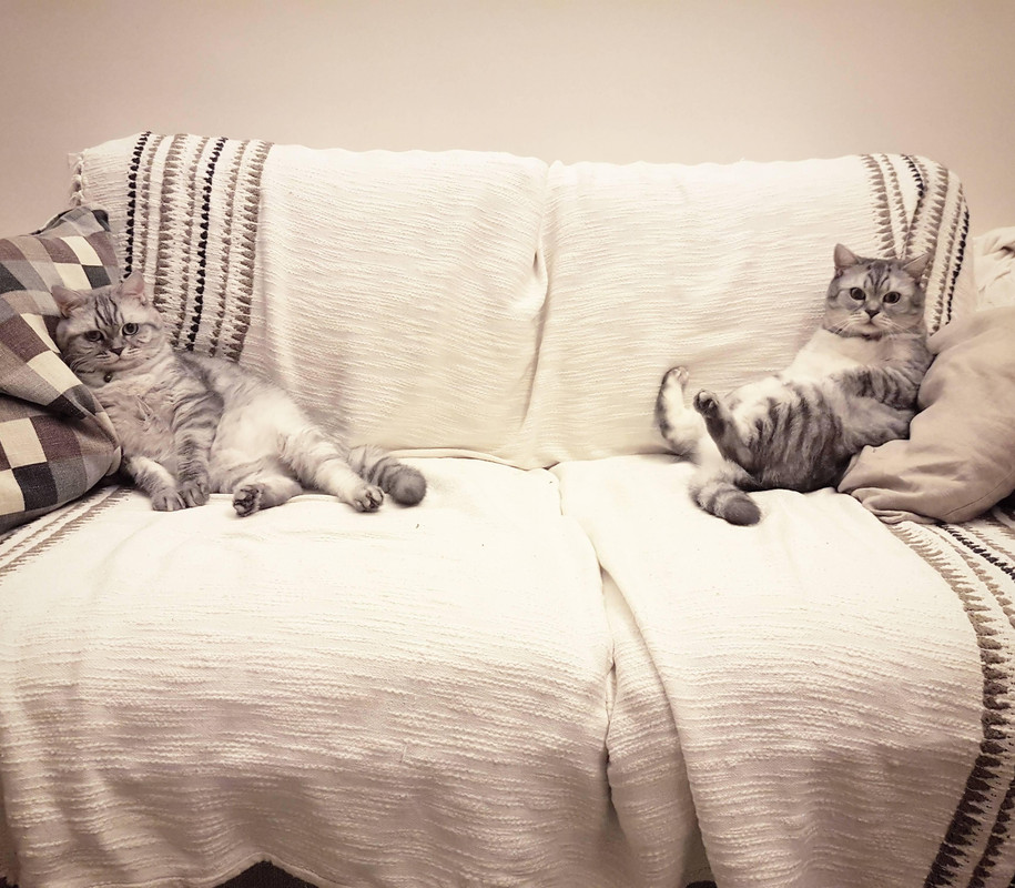 (JPEG Image, 3460?×?3024 pixels) - Scaled (25%)