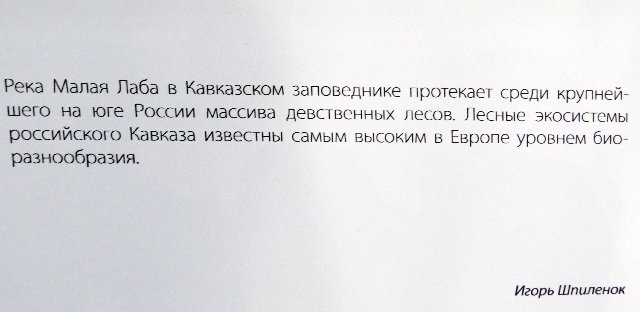 https://i.postimg.cc/qRmRJwRY/468-IMG-4862.jpg