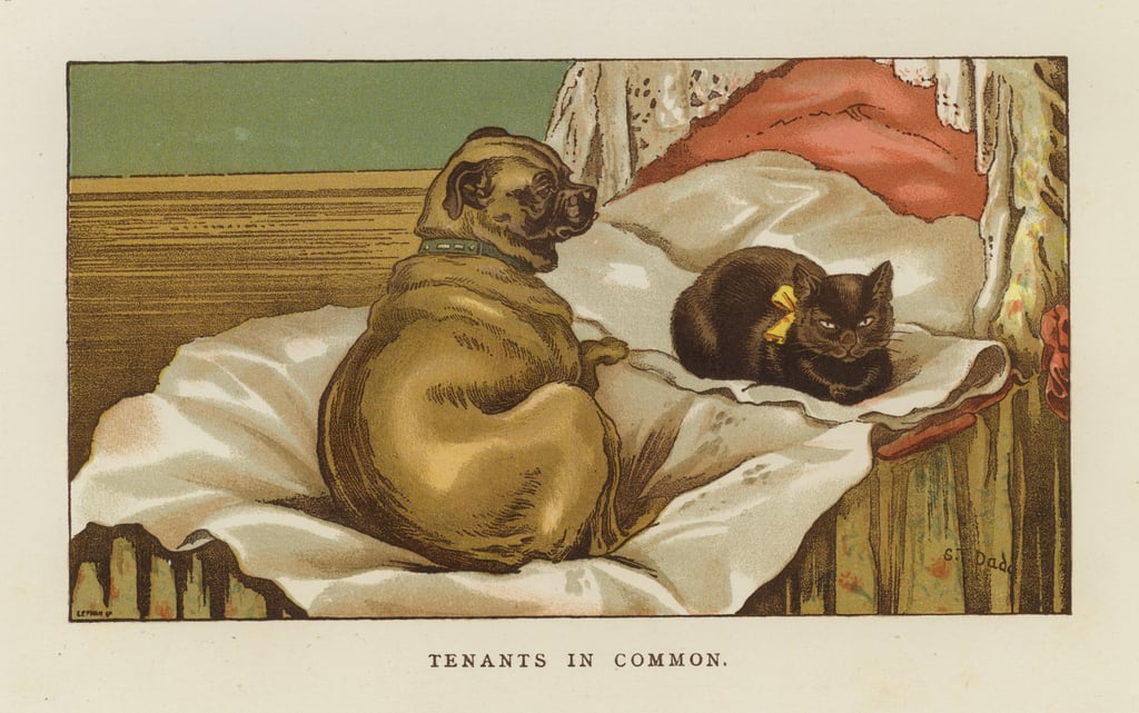 ST-Dadd-Tenants-in-Common-Meister-Drucke-180905