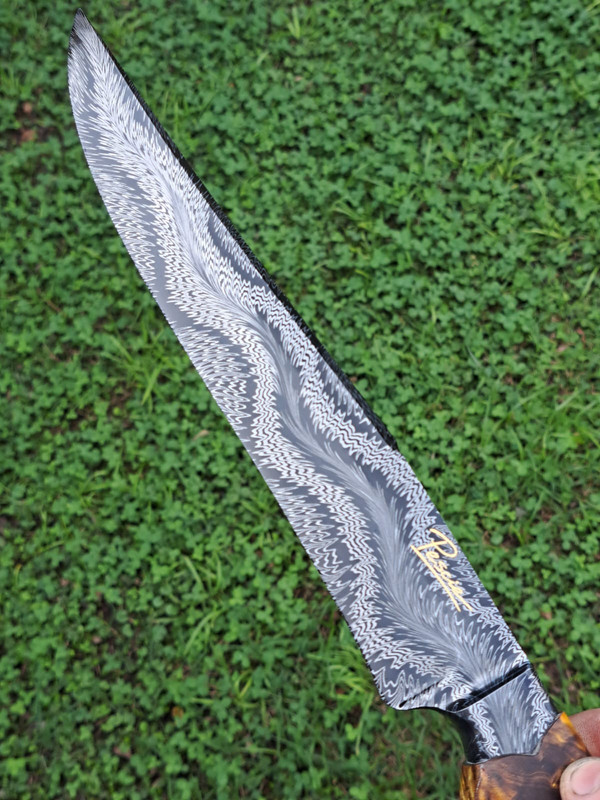 WhatsApp Image 2025-03-12 at 16.42.21 (1)