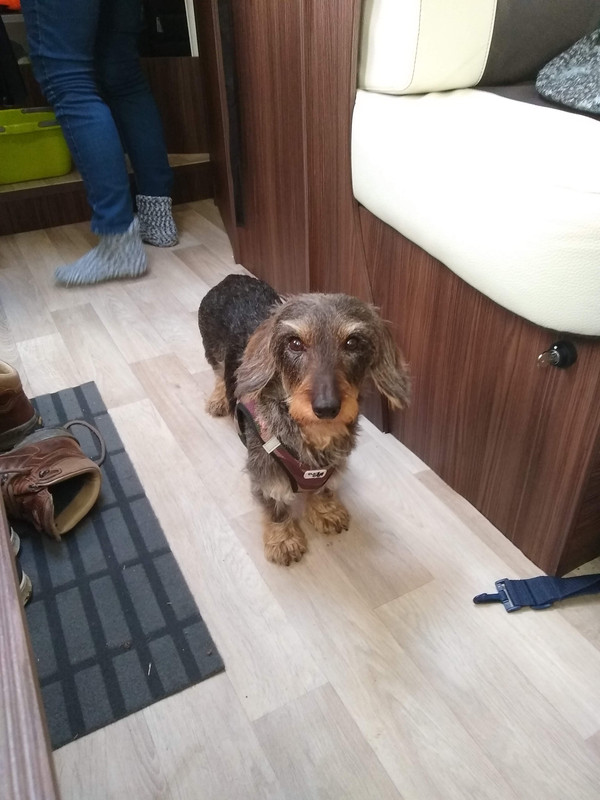 IMG_20191129_142317390