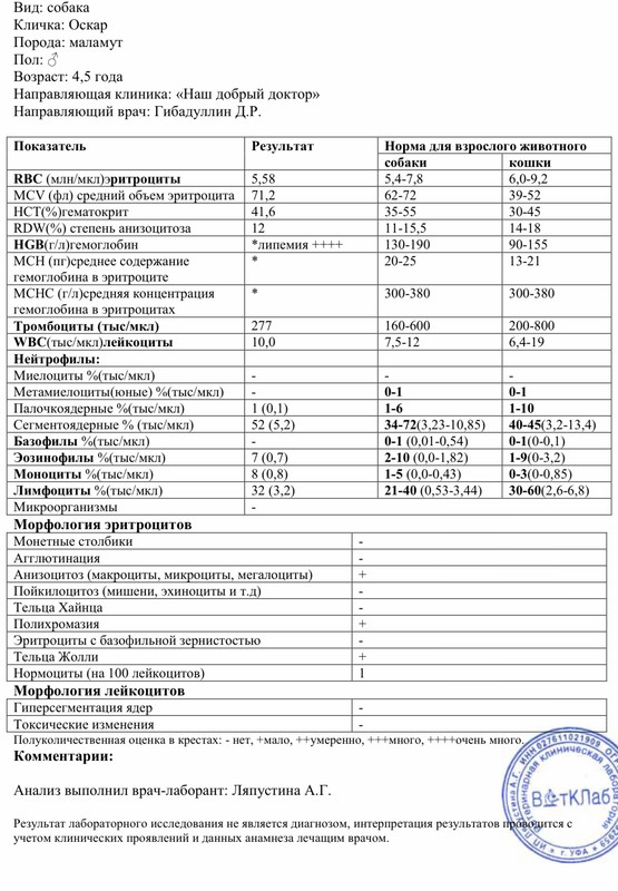 Анализы для гастроэнтеролога. Тест на антитела. Анализ соскоба на грибы. Липидный спектр анализ. Какие анализы для прыщей на лице.