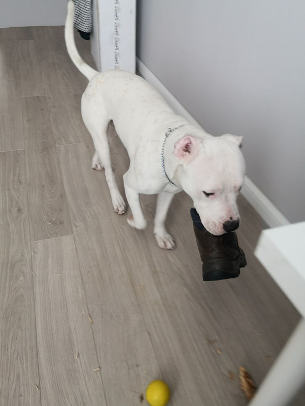 28F6BB9A-9DD4-45EB-8A27-463B51760769