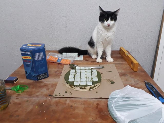 136735703_216856533479706_2981888997105531832_n