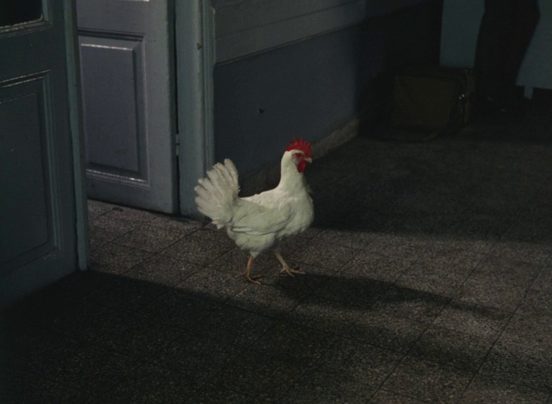 vlcsnap-2021-02-19-13h39m13s856.png
