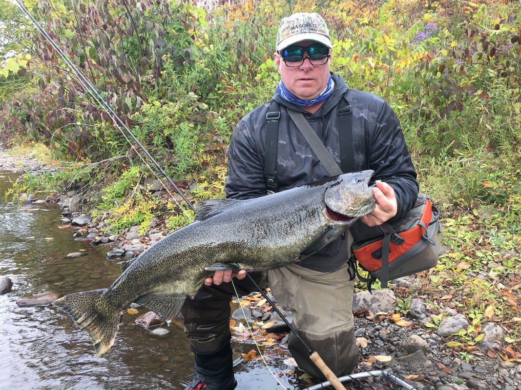 45525850-654E-4BC9-83A0-A09EB7170191