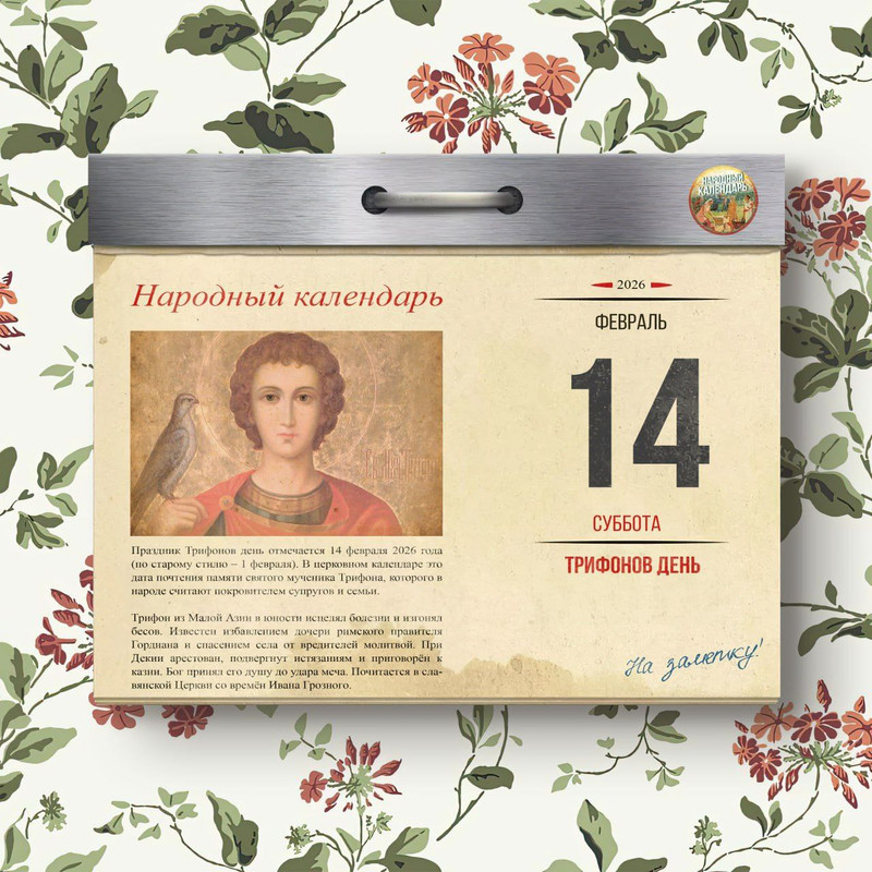 [Изображение: izobrazenie-viber-2026-02-14-05-51-15-723.jpg]