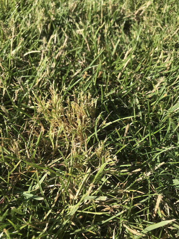 5A60214A-5CE0-47C8-AC12-D2843CE88C0E