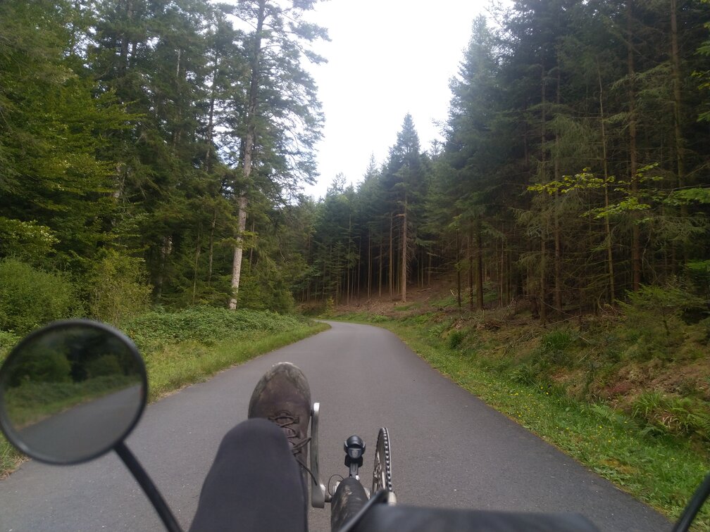 [Afbeelding: IMG-20240830-160835.jpg]