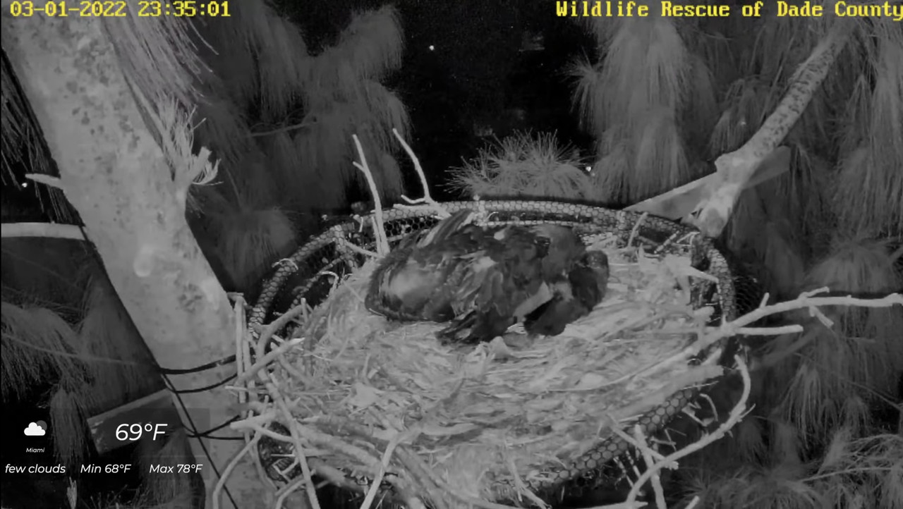 DB5E748A-4C9E-496D-B038-37471B8539E5