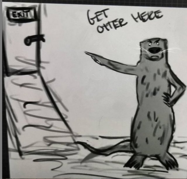 otterhere.jpg