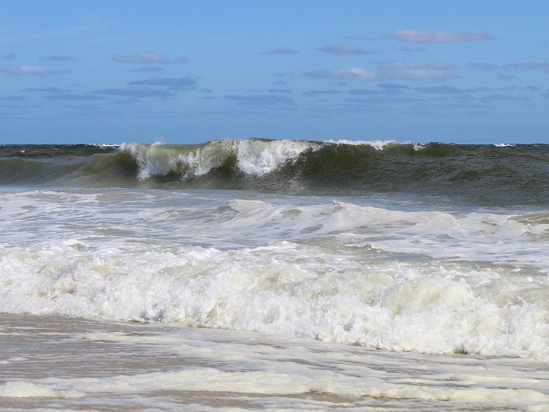 Jones-Beach09122020-1.jpg