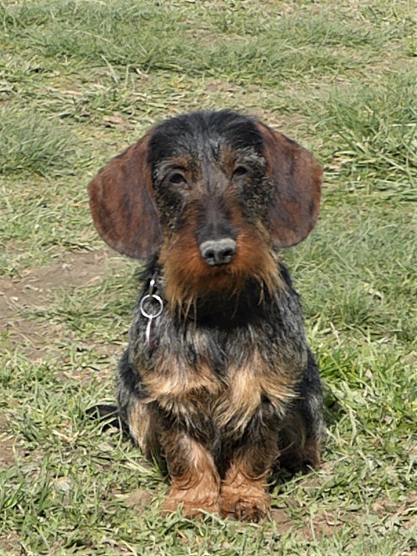 [Image: P1020111.jpg]