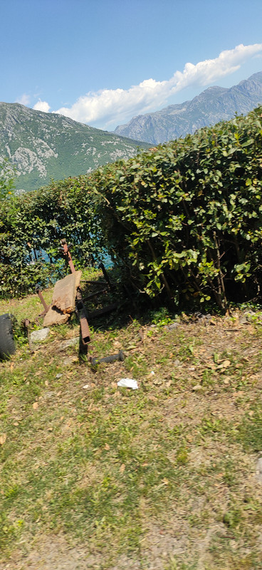 IMG20250502144438.jpg