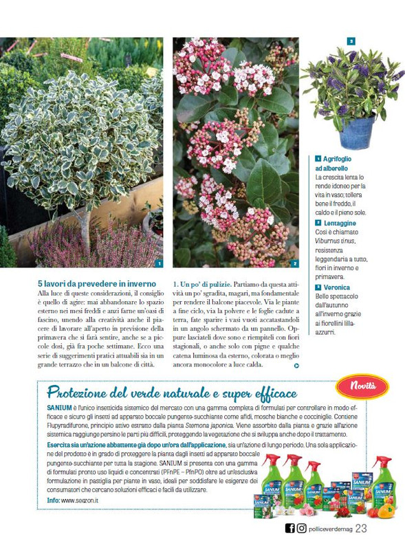 Pol Ver Dic 2024-Gen 2025 (4)