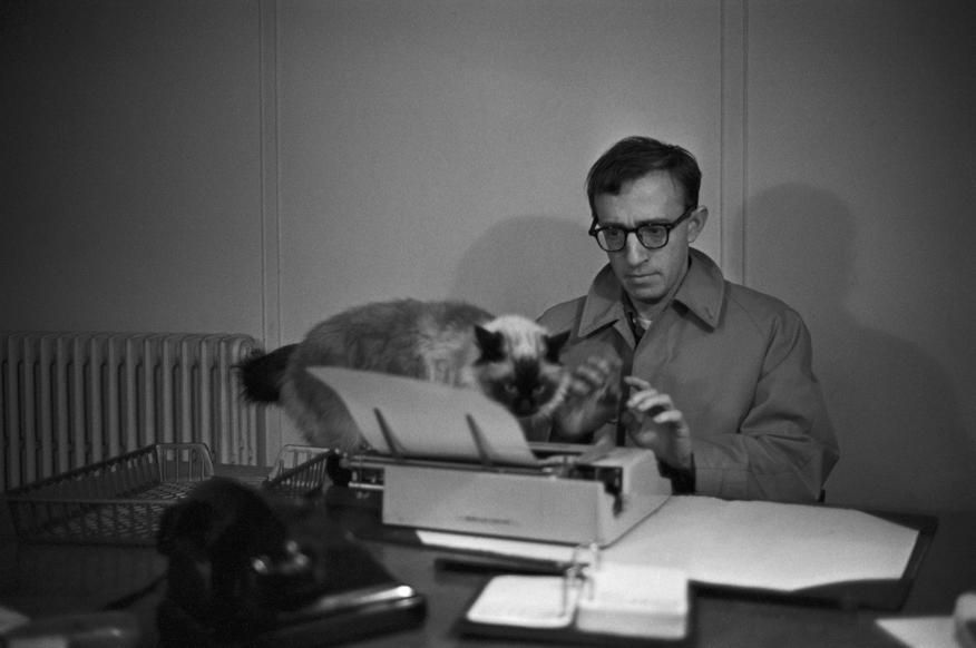 Woody-Allen-with-cat