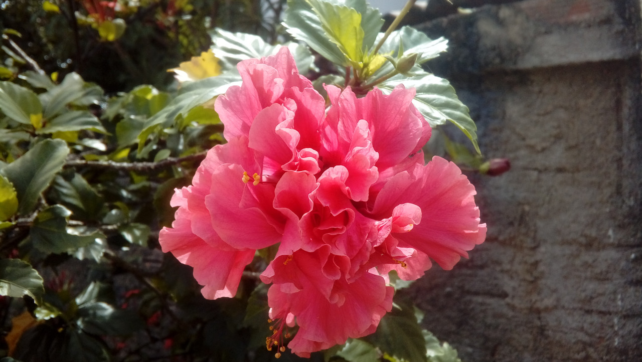 20180520_123507