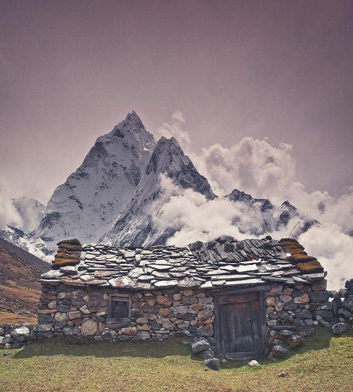 Без названия