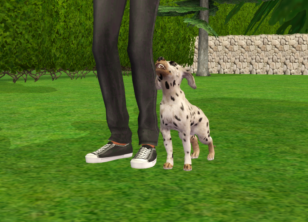 Sims2-EP9-RPC-2021-11-27-21-49-46-40