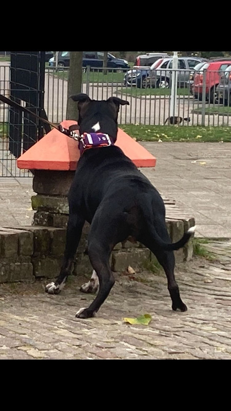 7F601086-631D-448B-9A32-05AD511BF912