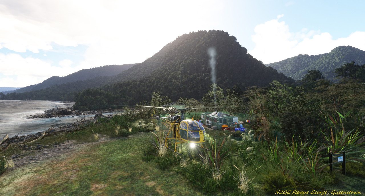 NZ-1.jpg