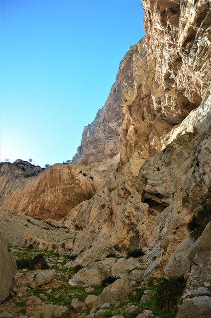 DESFILADERO DE LOS GAITANES (CAMINITO DEL REY)-8-3-2017 - Málaga y sus pueblos-2009/2017 (24)