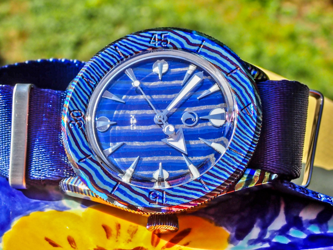 P7271157_1 [1600x1200]