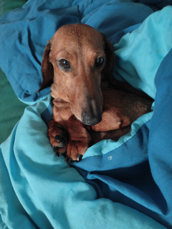 [Image: IMG-20240109-135238-NICKY.jpg]