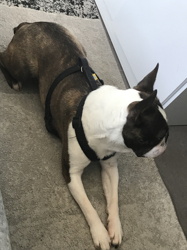 C149313A-2ACC-47AC-A695-8C0107630337